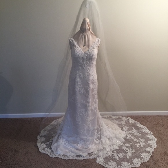 Wedding Dress - Picture 7 of 8